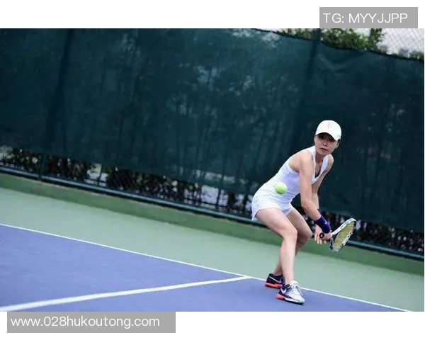 北京网球队的拼搏之路：世界杯背后的奋斗与荣耀MBA