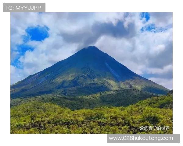 哥斯达黎加与百慕大精彩对决分析及赛前预测