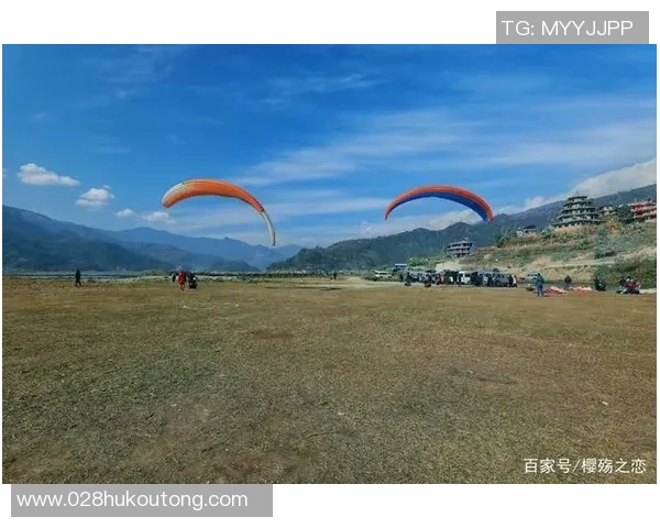 极限运动战术解析武汉极限运动队的防反体系与实战应用探讨MBA