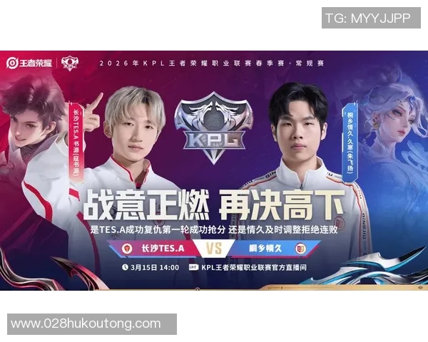 王者荣耀热议：WE战队团队协作问题引发的争议与讨论