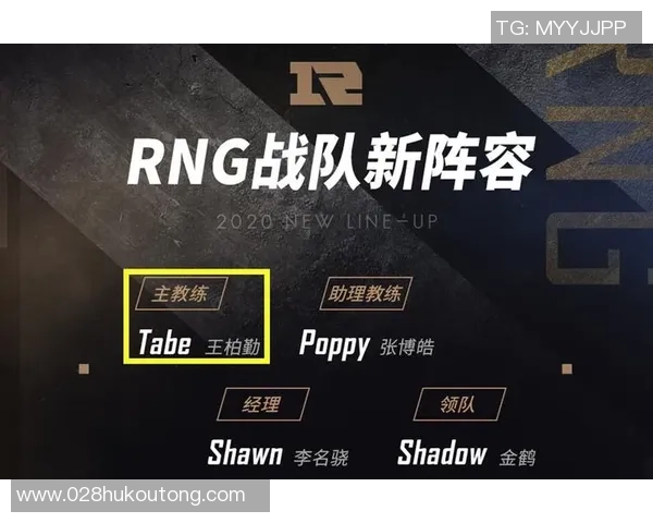 聚焦英雄联盟RNG团队协作与战术配合的深度解析与探讨
